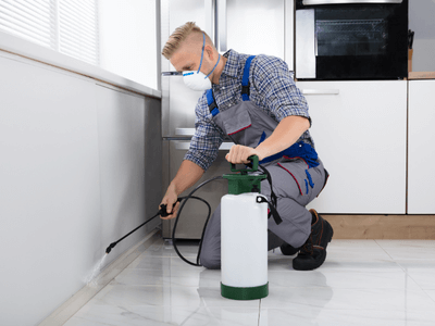 About Rodents Control in Naples FL - rodent control experts in Naples